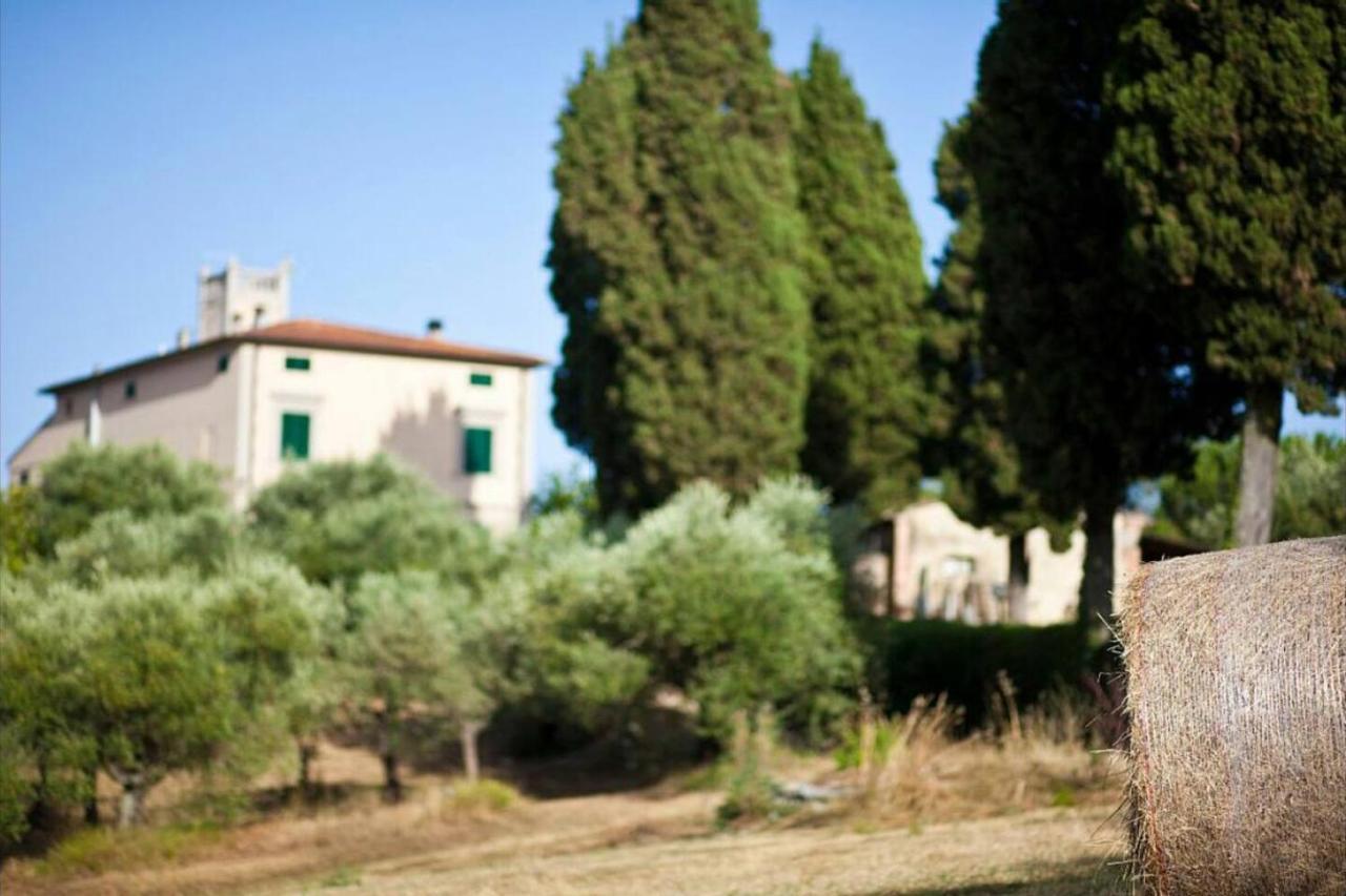 Affittacamere Porquier Crespina Exterior foto